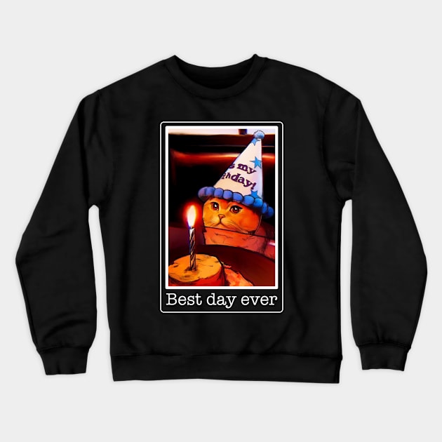 Cat meme birthday funny cake, best day, it's my party Crewneck Sweatshirt by Submarinepop